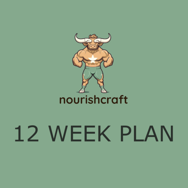 12 Week Plan