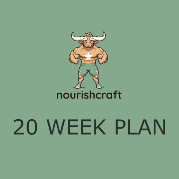 20 Week Plan